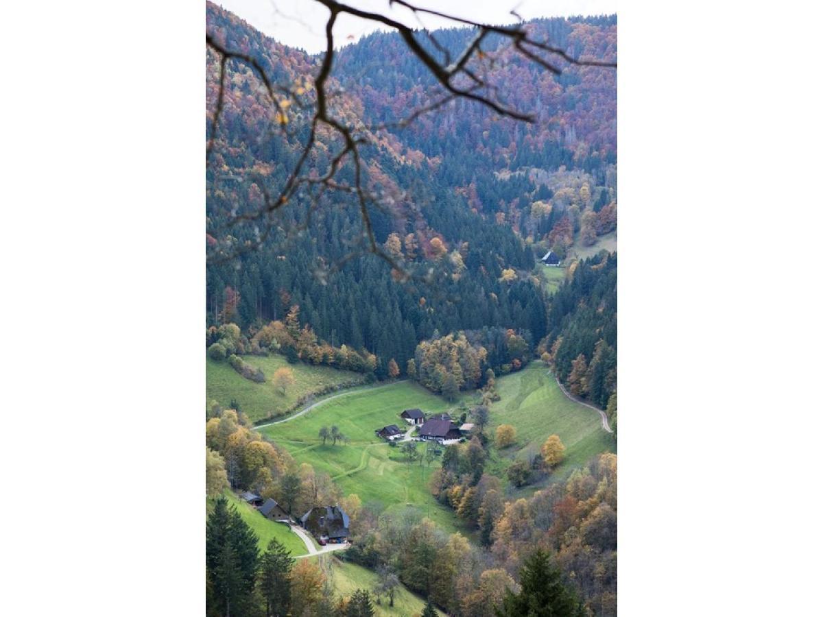Berghotel Und Restaurant Kraeuter Chalet Furtwangen Exteriér fotografie